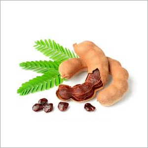 Brown Natural Tamarind