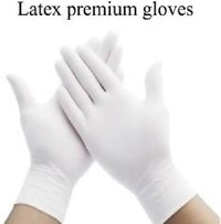 Labcare Export  Latex Gloves