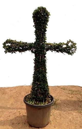 Green Holy Christian Symbol Topiary With Pot