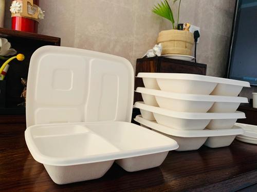 Biodegradable 3CP Meal Tray With Lid