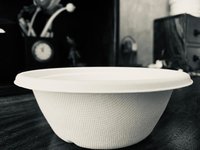 Biodegradable 500ml Container With Lid