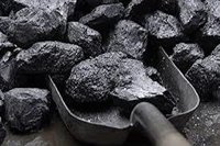 Imported Steam Coal 3800 Gar - 5200 To 5300 Gcv (00 TO 50 MM)