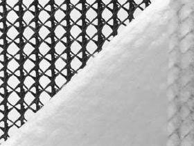 PET Geogrid