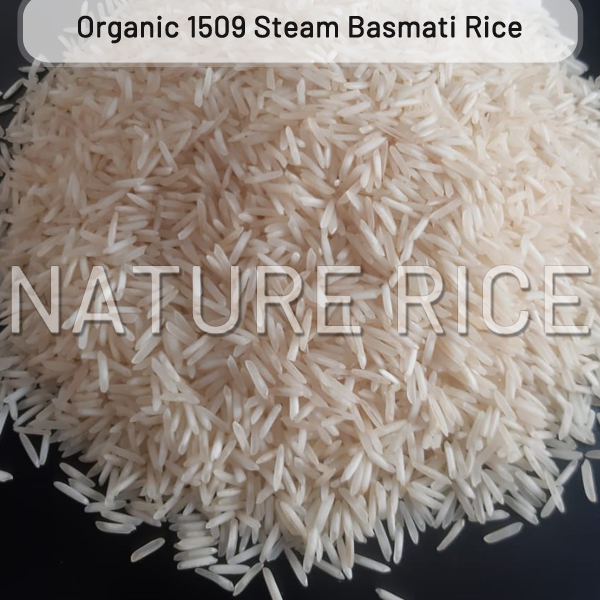 Organic 1509 Steam Basmati Rice