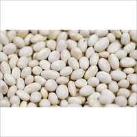 White Beans - Organic Dried | Food Grade, White Color, 2-year Shelf Life