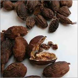 Brown Big Cardamom