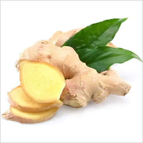 Fresh Ginger - Raw Ginger, Shelf Life of 3-4 Weeks | Ideal for Culinary Uses and Flavor Enhancements