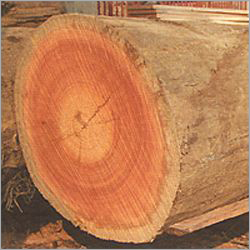 Meranti Logs