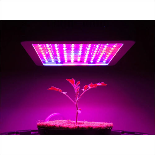 Horticulture Grow Light - Color: White