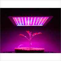 Horticulture Grow Light - Material Any, Size Different Sizes Available, Color White | Rectangular Shape, White Light Color, Versatile Usage for Horticulture