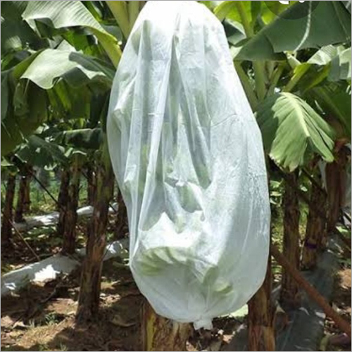 Fruit Cover Bags Bag Size: Different Size Available
