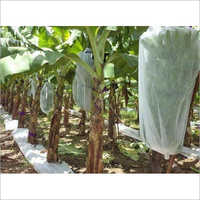 Natural Fruit Cover Bag