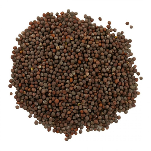 Mustard Seeds - Dried Grade A | Weight As per Requirement, Store in Dry Place for Optimal Freshness