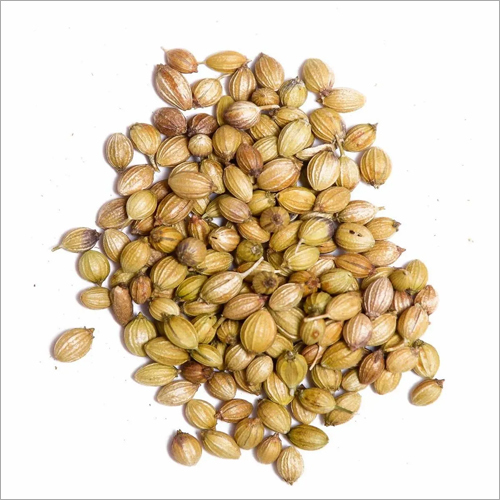 Coriander Seeds - Grade A, Dried | Keep in Dry Place, Available in Varied Weights for Culinary and Flavor Applications
