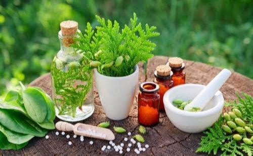 Ayurvedic Franchise
