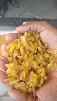Yellow Golden Raisins