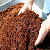 Coco Peat for Mushroom Farming