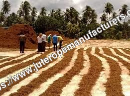 Cocopeat for Farming