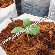 Cocopeat for Plant