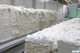 raw cotton By GIMPEX INTERNATIONAL LIMITED