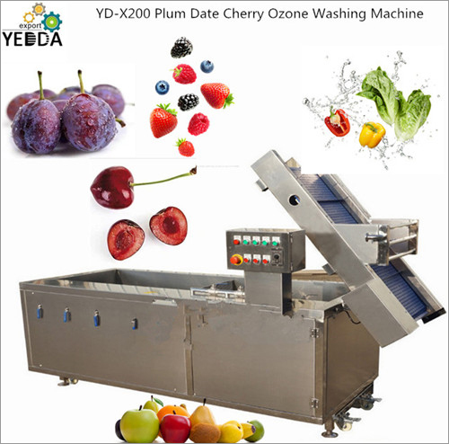 Plum Date Cherry Ozone Washing Machine