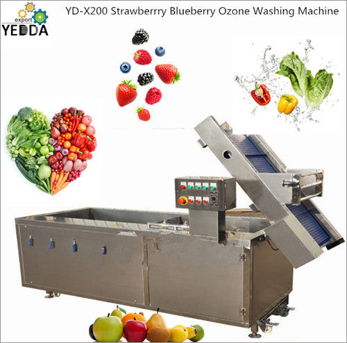 Stainless Steel Strawberrry Blueberry Ozone Washing Machine