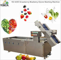 Strawberrry Blueberry Ozone Washing Machine
