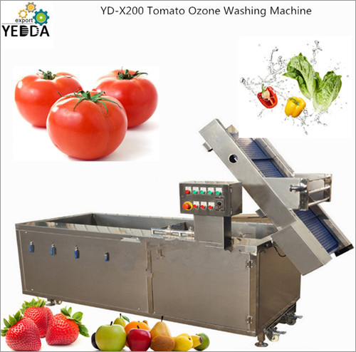 Stainless Steel Tomato Ozone Washing Machine