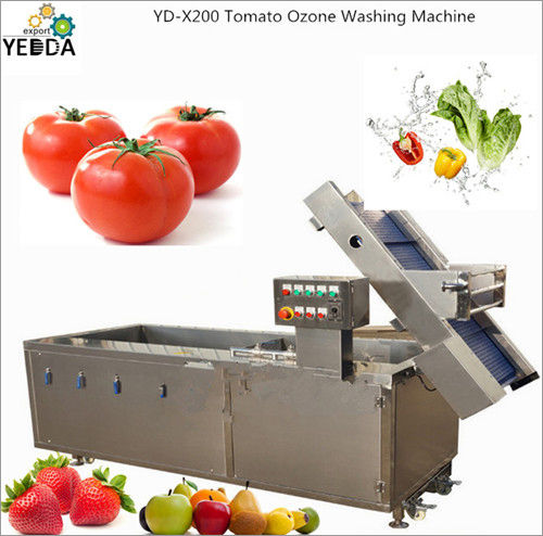 Date Plum Fruit Washing Machine