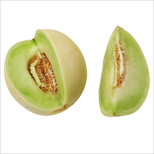 Honey Dew Melon