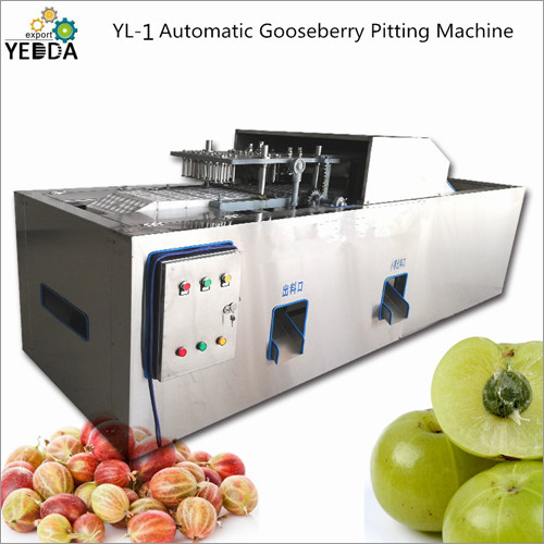 Automatic Gooseberry Pitting Machine