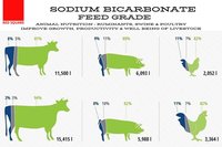 Sodium Bicarbonate Feed Grade - RED SQUARE