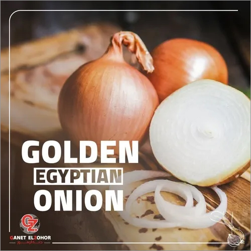 Golden Onion By GANET EL ZOHOR CO FOR TRADE