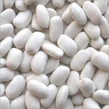 White Beans By GANET EL ZOHOR CO FOR TRADE