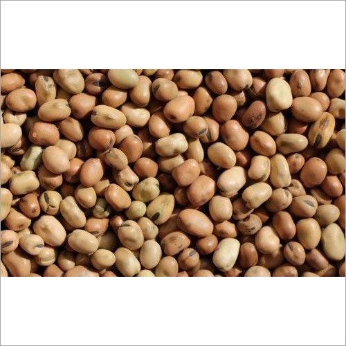 Mung Beans By GANET EL ZOHOR CO FOR TRADE