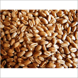 Natural Whole Wheat