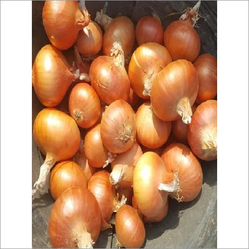 Golden Onion