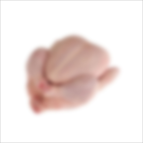 Fresh Whole Chicken