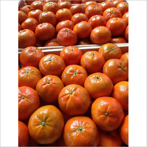 Fresh Citrus