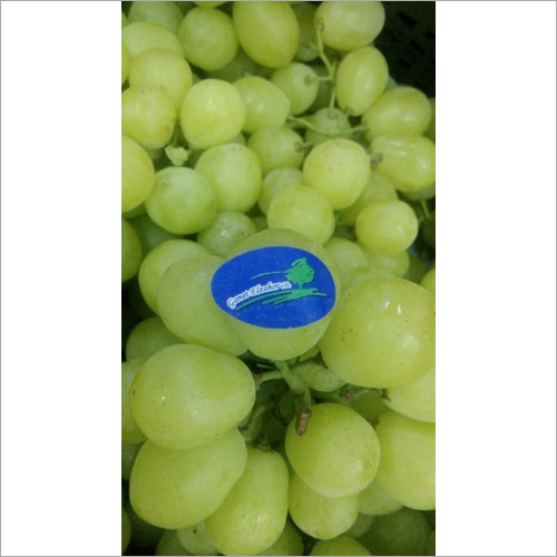Green Grapes