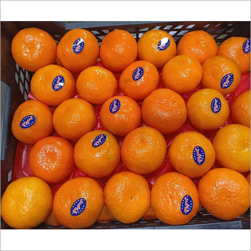 Fresh Natural Citrus