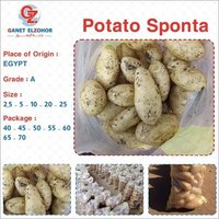 Egypian Potato Sponta