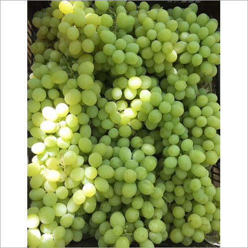 Fresh Grapes