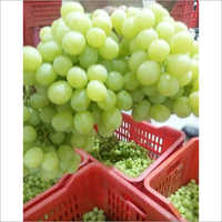 Organic Grapes
