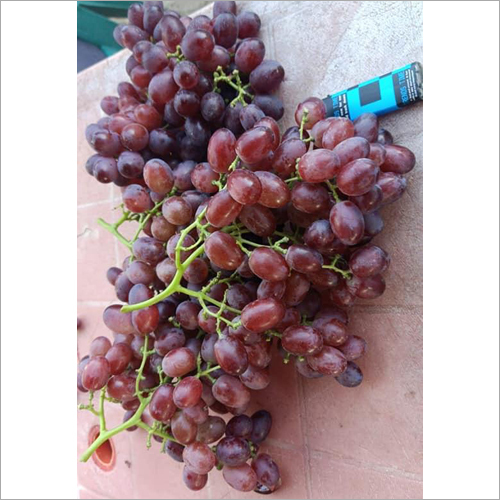 Black Grapes