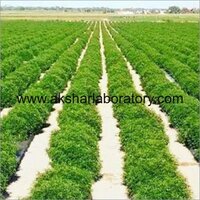 Agricultural Pesticides Testing Services