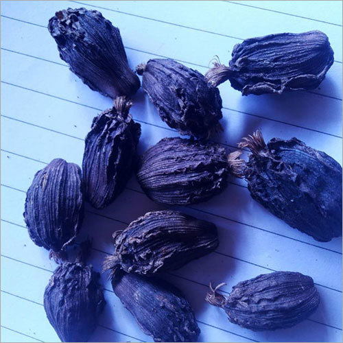 Black Cardamom