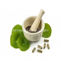 Herbal Ayurvedic Medicines Testing Services