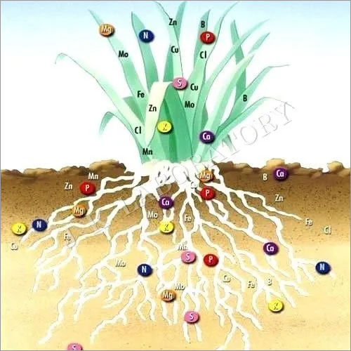 Micronutrient Fertilizers Testing Services