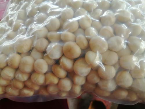 Macadamia Nuts from the Philippines With Cheap Price